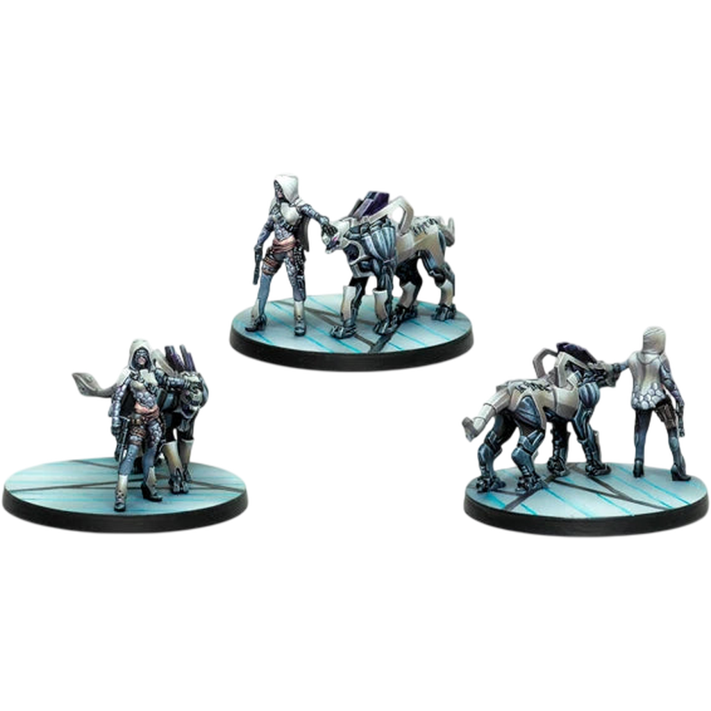 ALEPH: Andromeda, Sophistes of the Steel Phalanx (SMG) (Custom Painted) (Assembled)