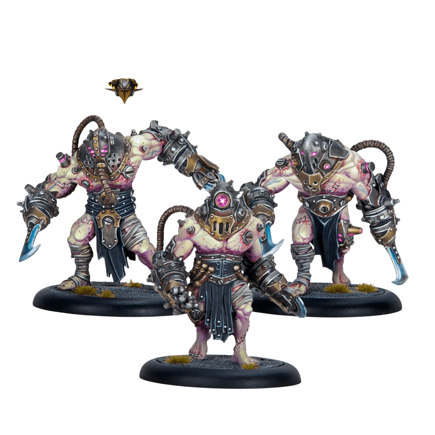 Criterions Unit (Custom Painted) (Assembled)