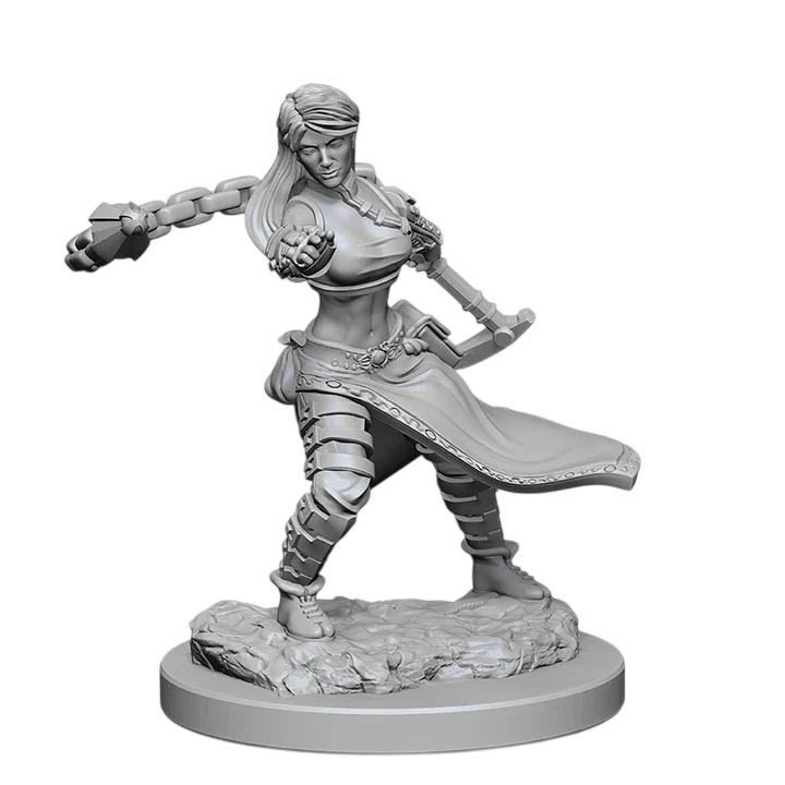 D&D Nolzur's Marvelous Miniatures: Human Female Monk (Custom Painted)