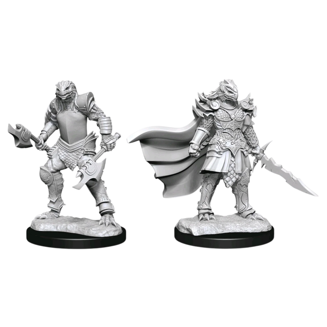 Dragonborn Fighter Female (Unpainted)