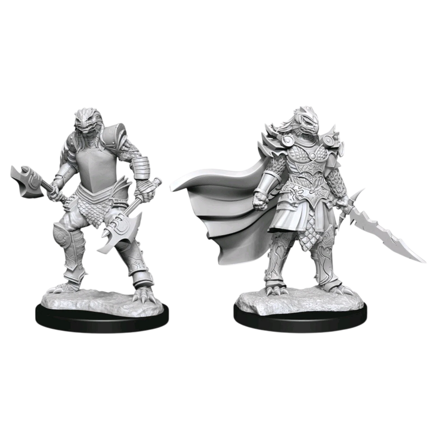 Dragonborn Fighter Female (New in Box)