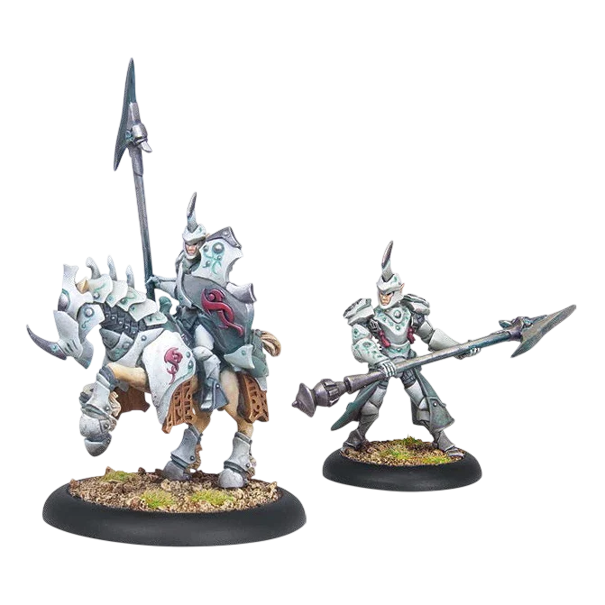 Fane Knight Skeryth Issyen (Custom Painted) (Assembled)