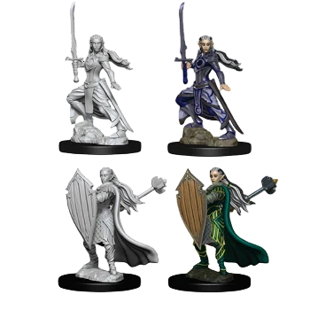 Elf Female Paladin (Prepainted) (New in Box)
