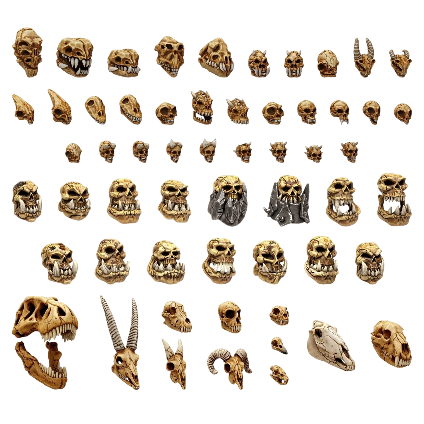 Green Stuff World 300x Battlefield Creature Skulls 1:48-1:35 - Wargaming and Basing