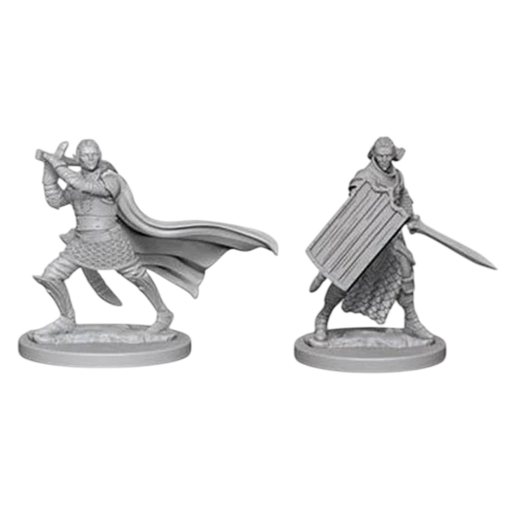 Pathfinder Battles Deep Cuts Unpainted Miniatures: Elf Male Paladin (Custom Painted)