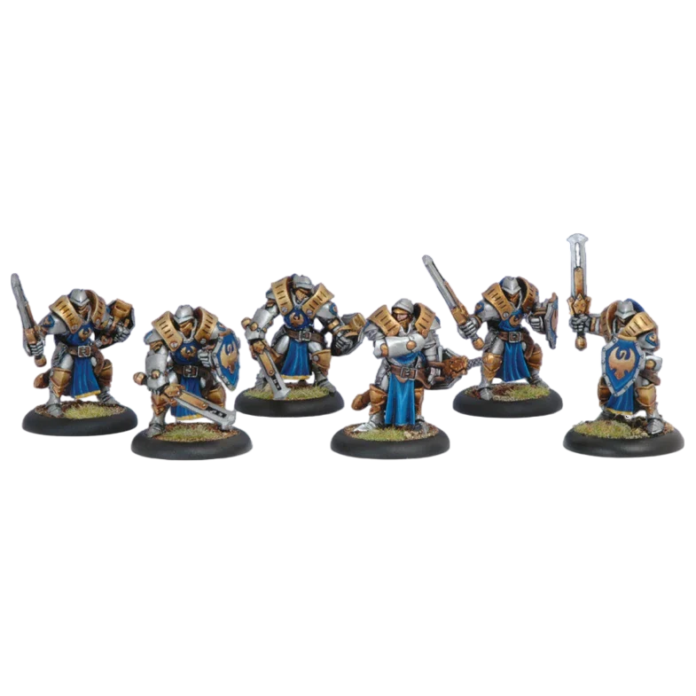 Sword Knight Unit (Custom Painted) (Assembled)