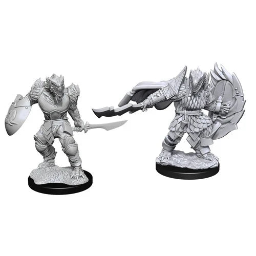 Dragonborn Fighter Male (Custom Painted)