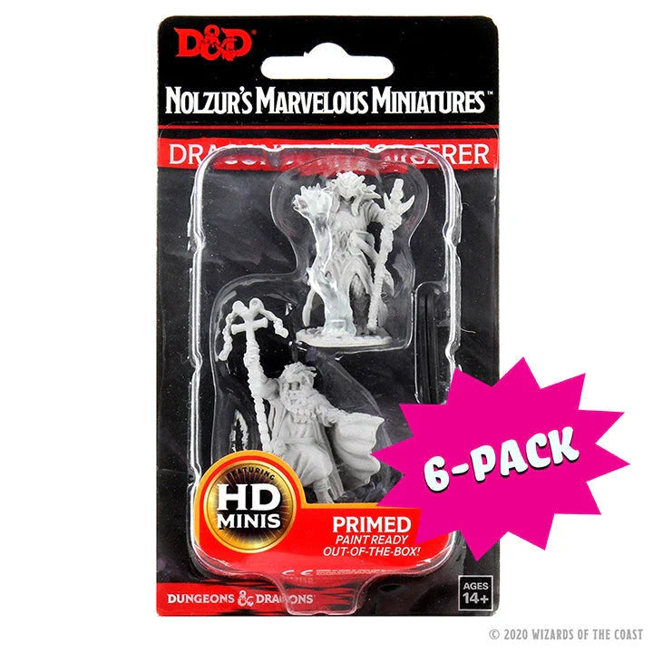 Female Dragonborn Sorcerer (Bundle of 6) (Unpainted)