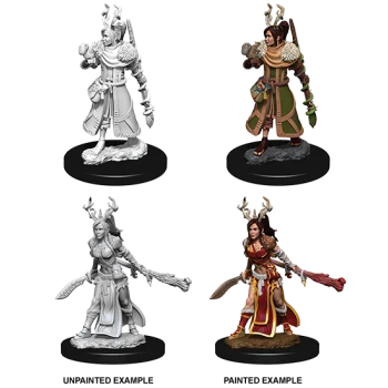 Female Human Druid (Unpainted)