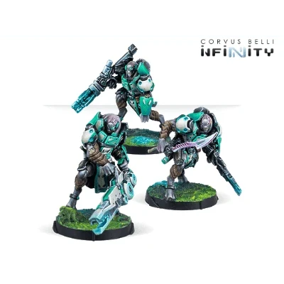 Infinity - Chaksa Longarms NA2 (Custom Painted) (Assembled)