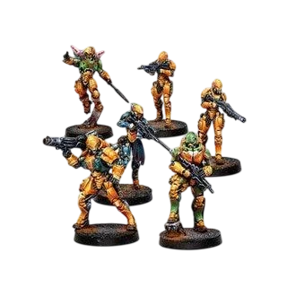 Infinity - Invincible Army (Yu Jing Sectorial Starter Pack) (Custom Painted) (Assembled)