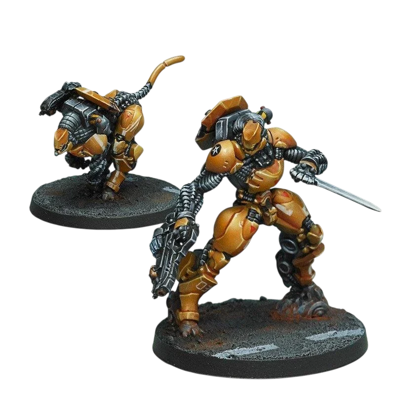 Infinity - Su-Jian Immediate Action Unit Yu Jing (Custom Painted) (Assembled)