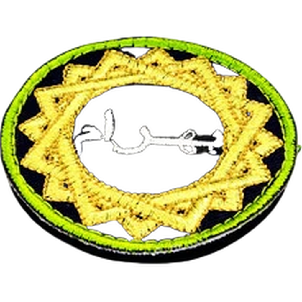 Patch: Hassassin Bahram (Unpainted) (Assembled)