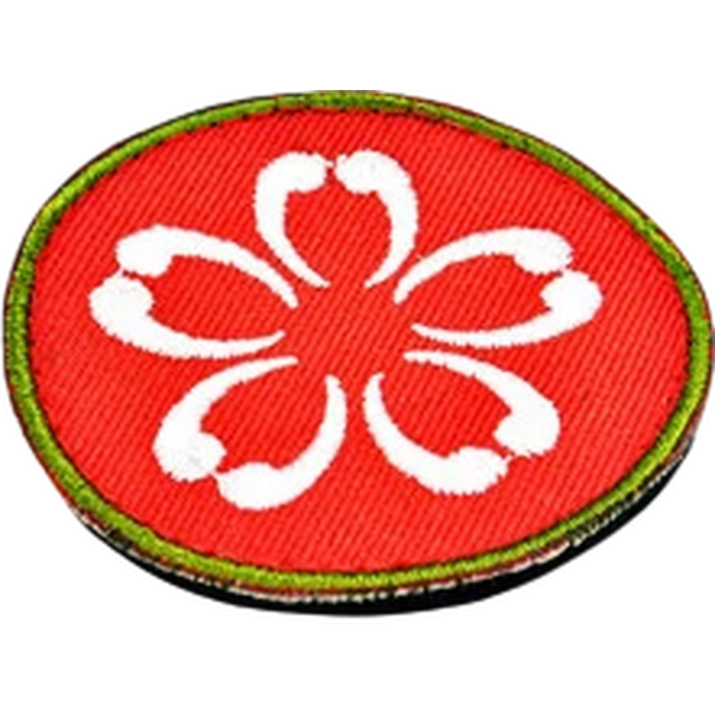 Patch: Qapu Khalqi (Custom Painted) (Assembled)