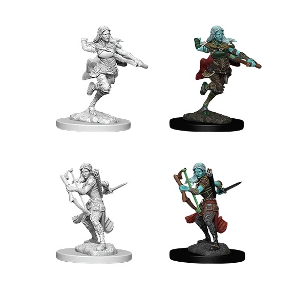Air Genasi Female Rogue (New in Box)