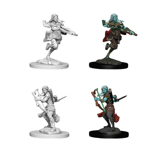 Air Genasi Female Rogue (Unpainted)
