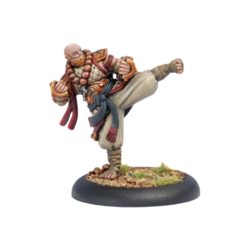 Allegiant of the Order of the Fist (Custom Painted) (Assembled)