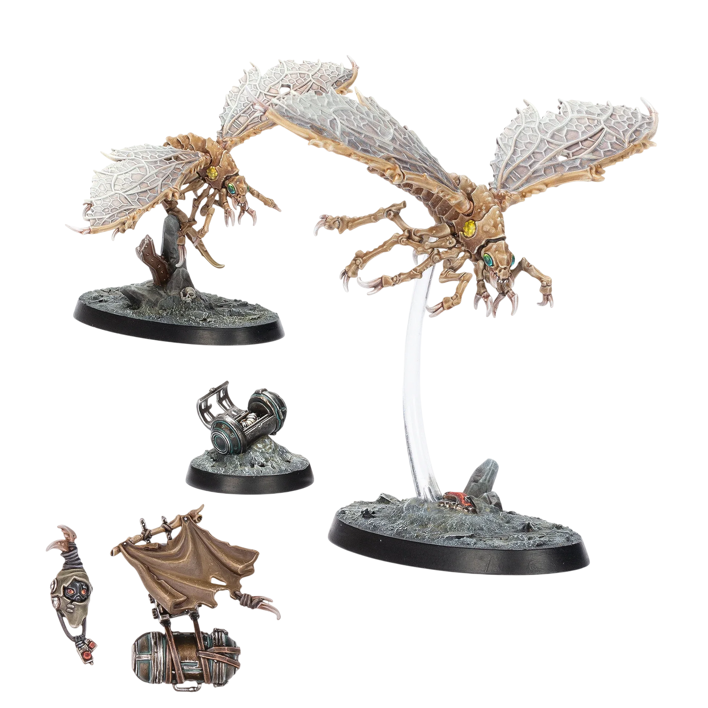 Ashwing Helamites (Unpainted) (Assembled)