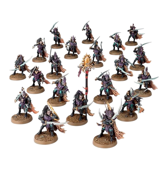 Black Ark Corsair (Custom Painted) (Assembled)