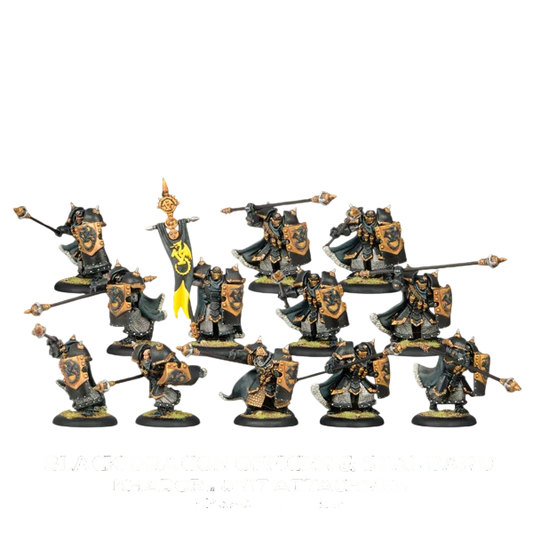 Black Dragon Iron Fang Pikemen (Custom Painted) (Assembled)