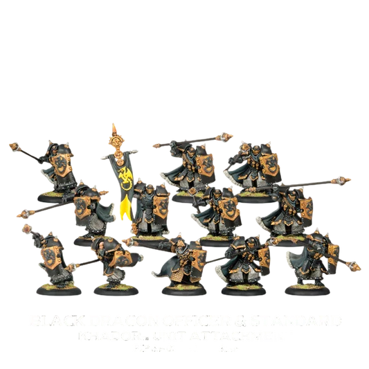 Black Dragon Iron Fang Pikemen (Custom Painted) (Assembled)