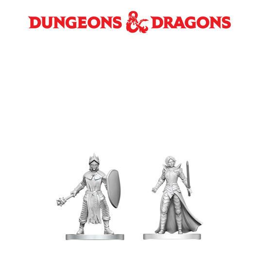 Black Gauntlet & Zhentilar Paladin of Bane (Custom Painted)
