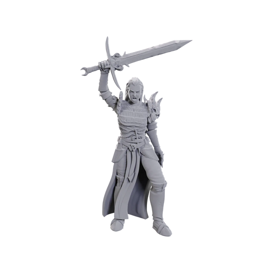 Blackguard (Custom Painted)