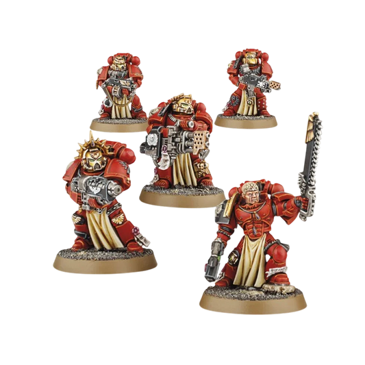 Blood Angels Sternguard Veteran Squad (Custom Painted) (Assembled)