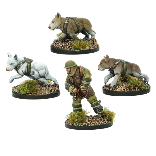 British War Dog Squad 1 (Unpainted) (Assembled)