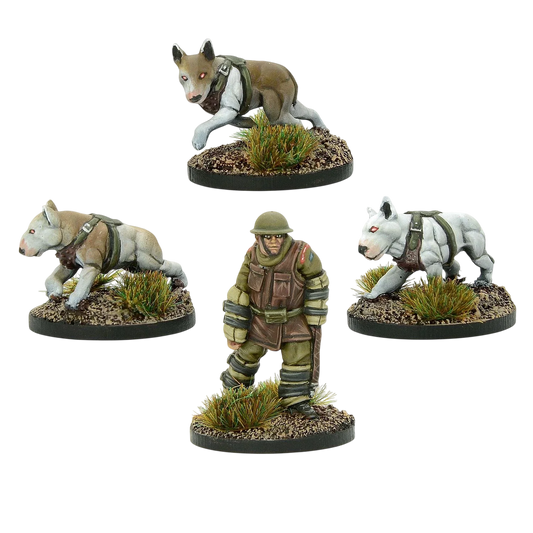 Cerberus Squad 2 (Custom Painted) (Assembled)