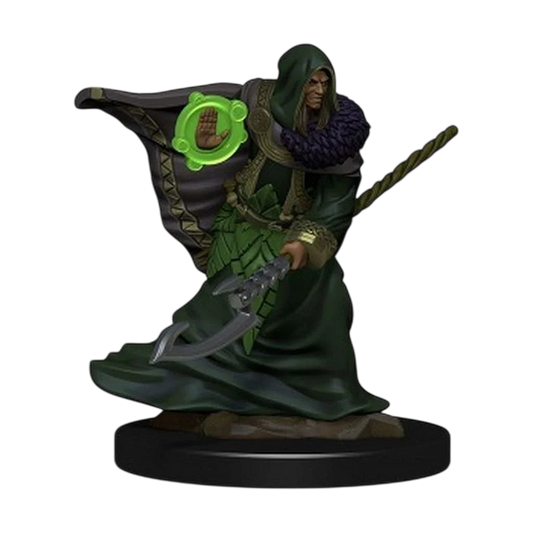 D&D Icons of the Realms: Premium Figures: Elf Druid Male (Prepainted)