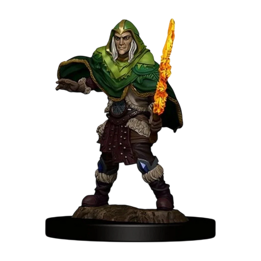 D&D Icons of the Realms: Premium Figures: Elf Fighter Male (Custom Painted)