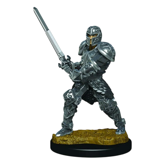 D&D Icons of the Realms: Premium Figures: Male Human Fighter (Prepainted)
