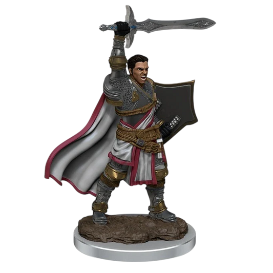D&D Icons of the Realms: Premium Figures: Male Human Paladin (Custom Painted)