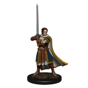D&D Icons of the Realms: Premium Painted Figure: Human Cleric Male (Custom Painted)
