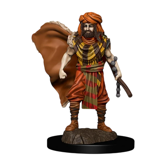 D&D Icons of the Realms: Premium Painted Figure: Human Druid Male (New in Box)