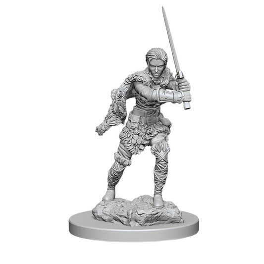 D&D Nolzur's Marvelous Miniatures: Human Female Barbarian (Custom Painted)