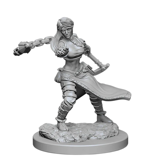 D&D Nolzur's Marvelous Miniatures: Human Female Monk (New in Box)