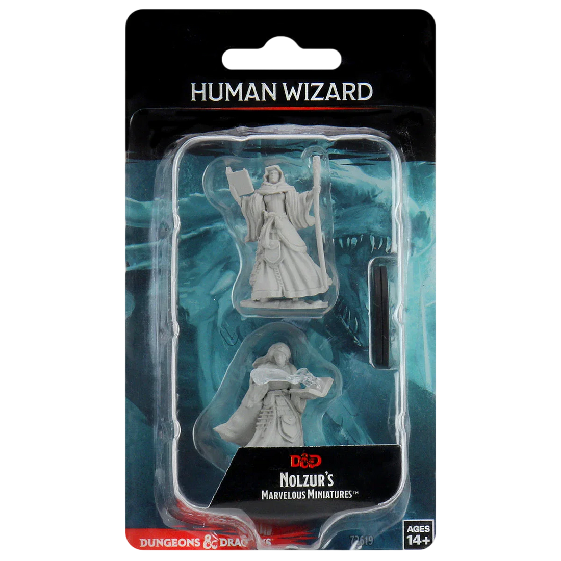 Female Human Wizard (Prepainted) (New in Box)