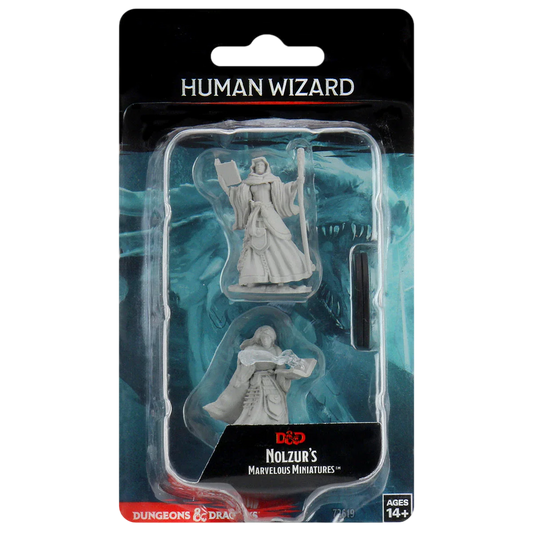 Female Human Wizard (Prepainted)
