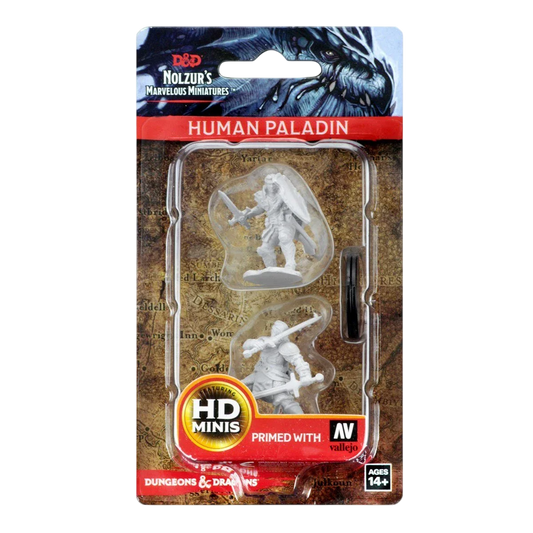 D&D Nolzur's Marvelous Miniatures: Human Male Paladin (Custom Painted)