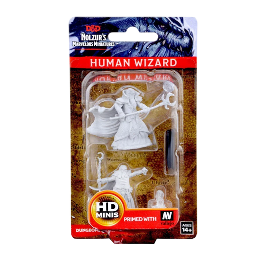 D&D Nolzur's Marvelous Miniatures: Human Male Wizard (New in Box)