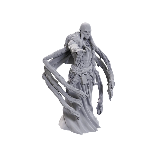 D&D Nolzur's Marvelous Miniatures: Kraken Priest (New in Box)