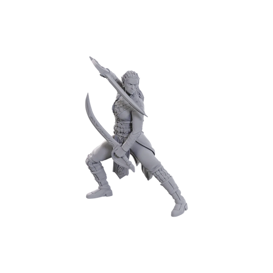 D&D Nolzur's Marvelous Miniatures: Special Edition Baldur's Gate 3: Jaheira & Halsin (New in Box)