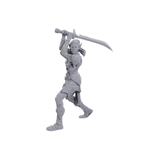 D&D Nolzur's Marvelous Miniatures: Special Edition Baldur's Gate 3: Lae'zel & Shadowheart (Custom Painted)