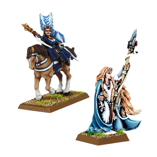 Damsel with Staff (Custom Painted) (Assembled)