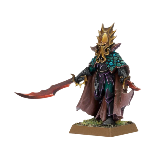 Dark Elf Lokhir Fellheart (Custom Painted) (Assembled)