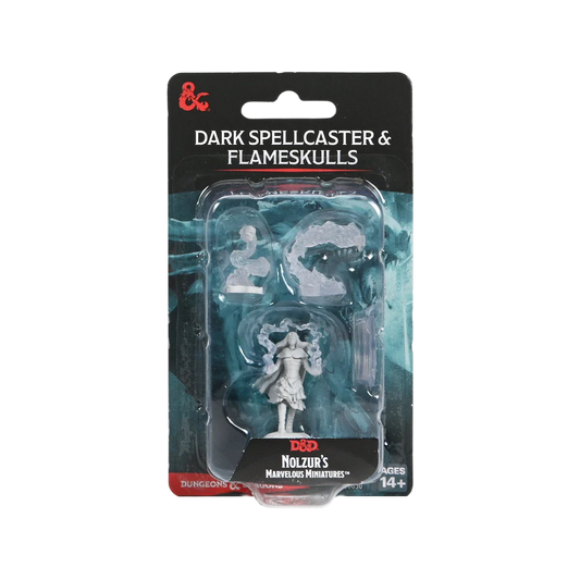 Dark Spellcaster & Flameskull (Custom Painted)