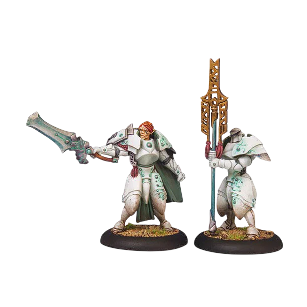 Dawnguard Sentinel Officer & Standard (Unpainted) (Assembled)