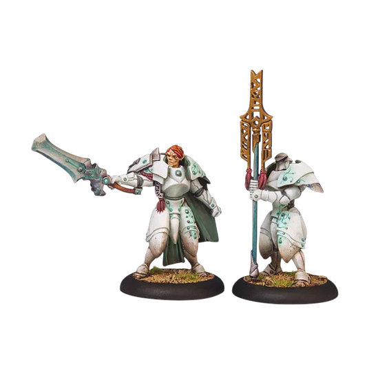 Dawnguard Sentinel Officer & Standard (Unpainted) (Assembled)
